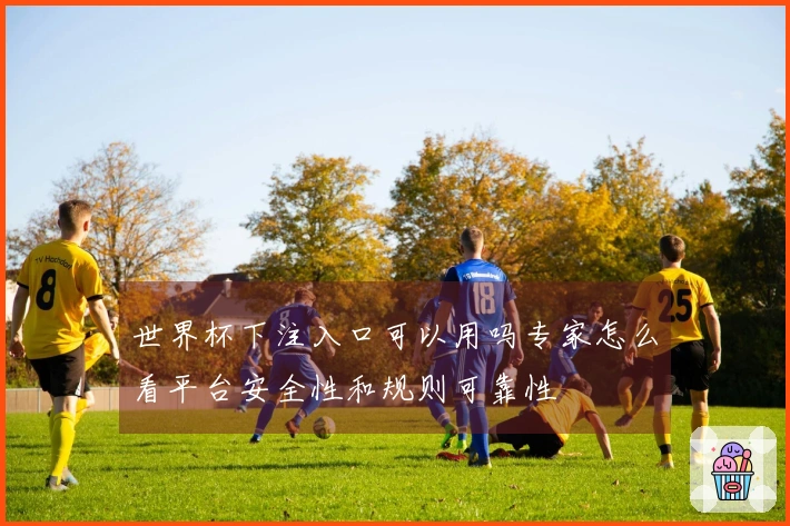 世界杯下注入口可以用吗专家怎么看平台安全性和规则可靠性